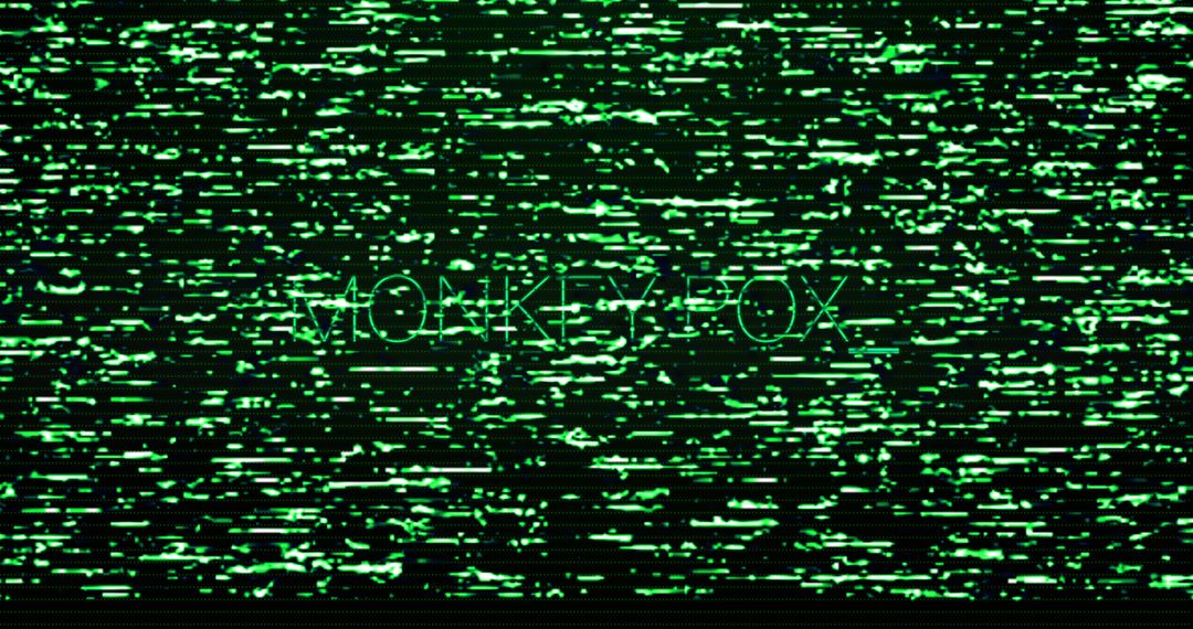 Monocrome Digital Interference with Textural Noise Effect