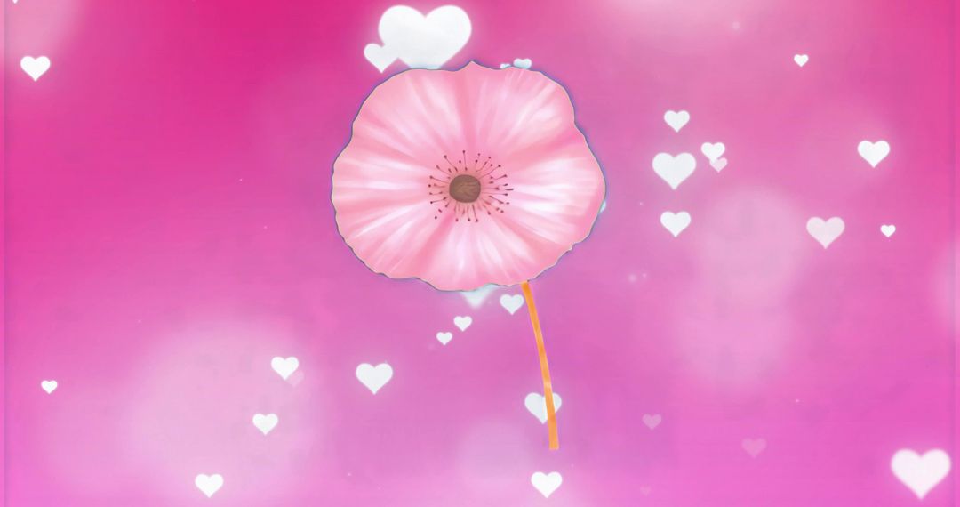 Floating Pink Poppy with Heart Bokeh Romantic Whimsical Floral Illustration