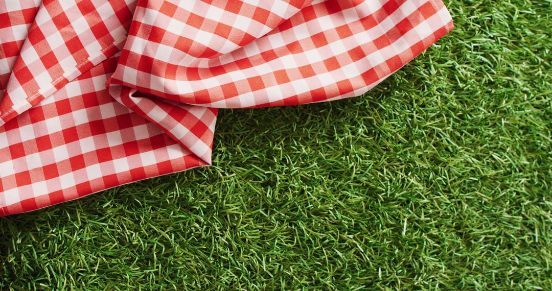 Red and White Checkered Picnic Blanket on Green Grass - Free Images, Stock Photos and Pictures on Pikwizard.com