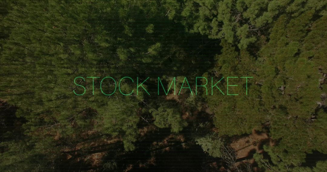 Neon STOCK MARKET Text Floating Over Aerial Evergreen Canopy with Sunlit Trails