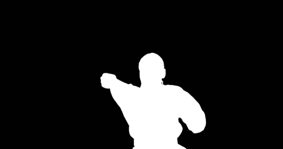 Silhouette of Martial Artist in Action Pose on Black Background - Free Images, Stock Photos and Pictures on Pikwizard.com