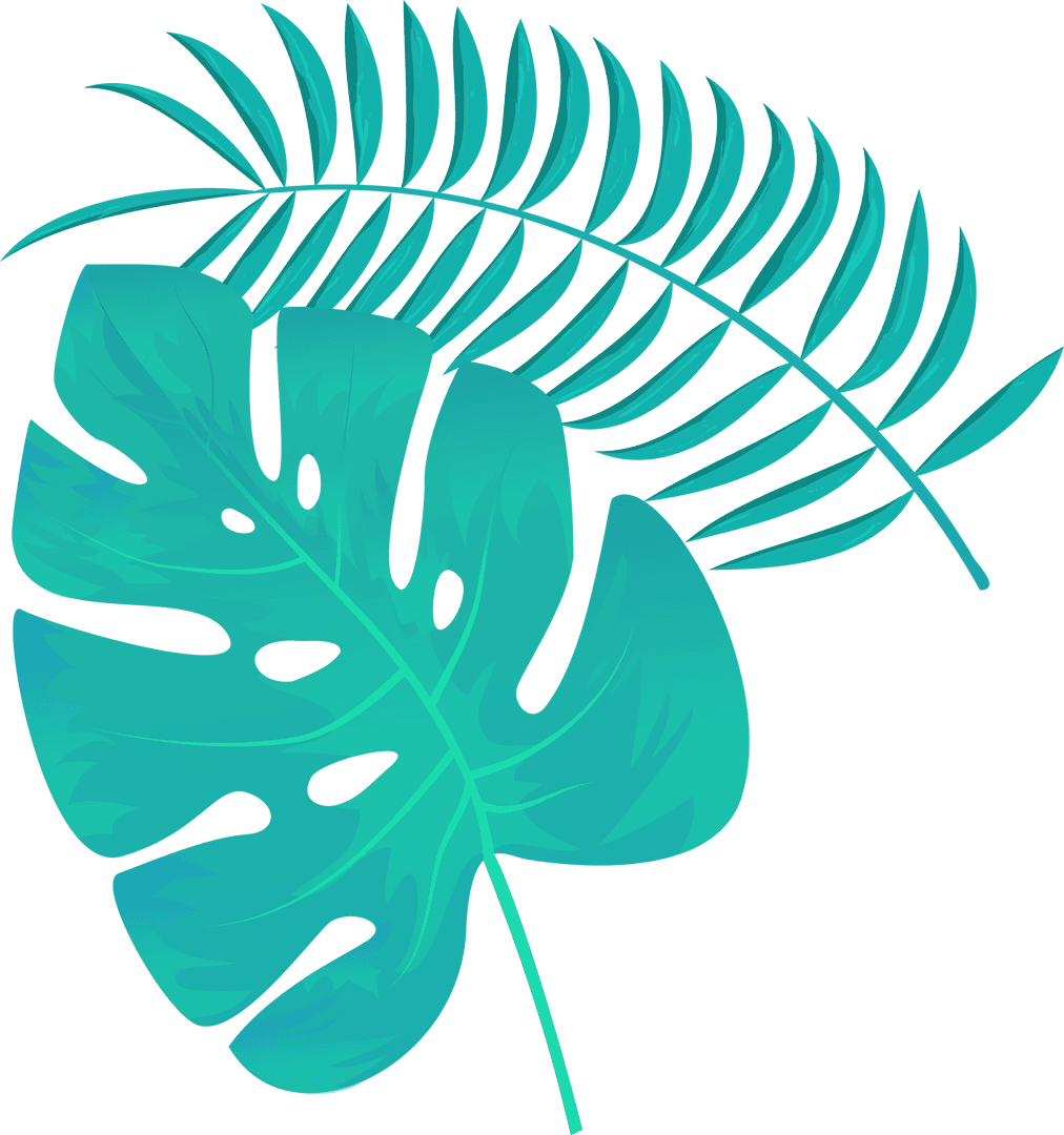 Tropical Monstera and Palm Leaves on Transparent Background