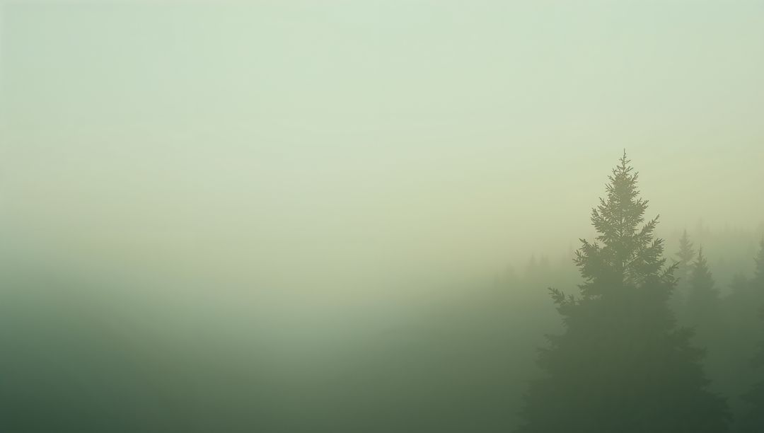 Misty Evergreen Silhouette on Hillside Minimalist Foggy Forest Background with Copy Space