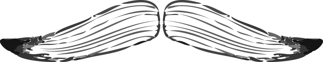 Vintage Handlebar Moustache Design on Transparent Background