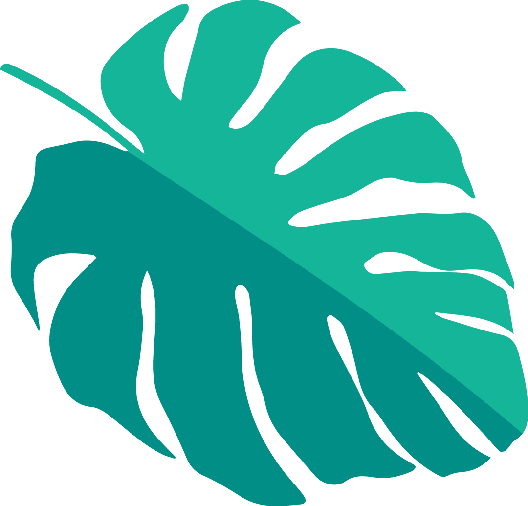 Transparent Monstera Leaf in Two Green Tones