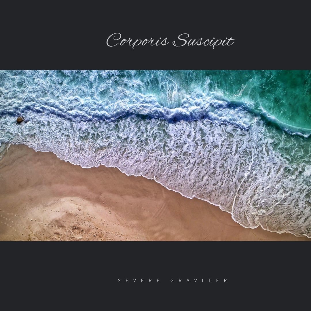 Aerial Tranquility: Waves Meeting Pristine Beach