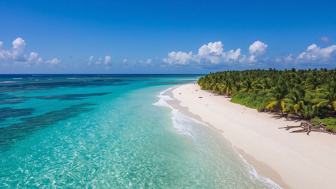 Serene Tropical Beach with White Sands and Palm Grove