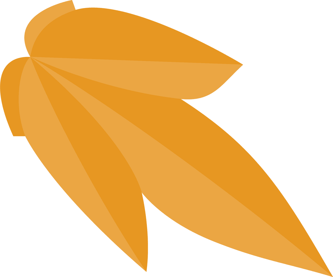 Orange Geometric Leaf Forms on Transparent Background
