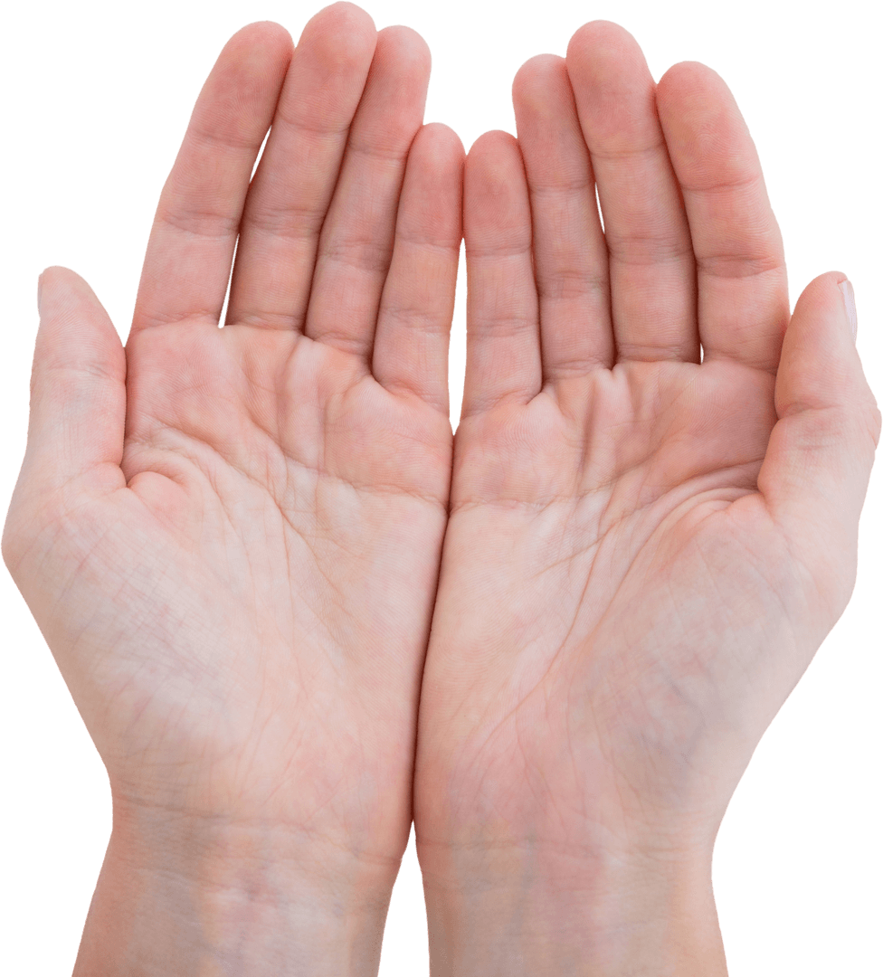 Open Female Hands with Palms Up Transparent Background