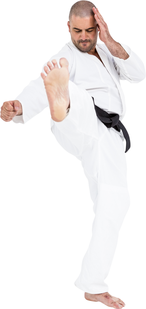 Transparent Karate Martial Artist Kicking Stance - Download Free Stock Images Pikwizard.com