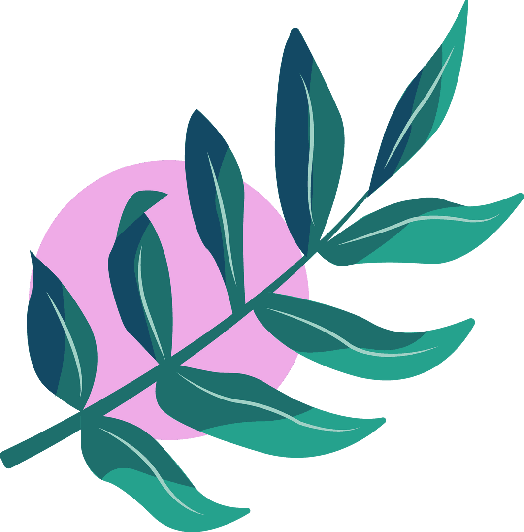 Decorative Botanical Branch with Pink Circle on Transparent Background