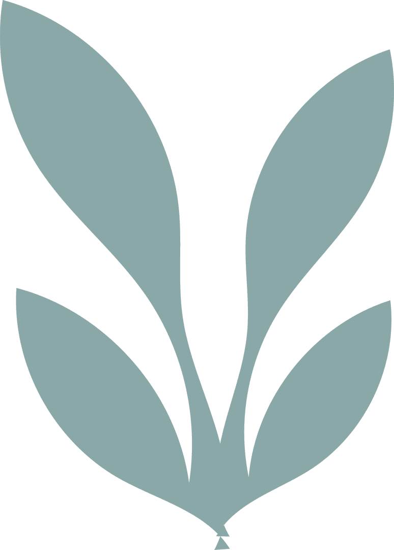 Transparent Minimalist Flat Leaf Design for Eco Branding