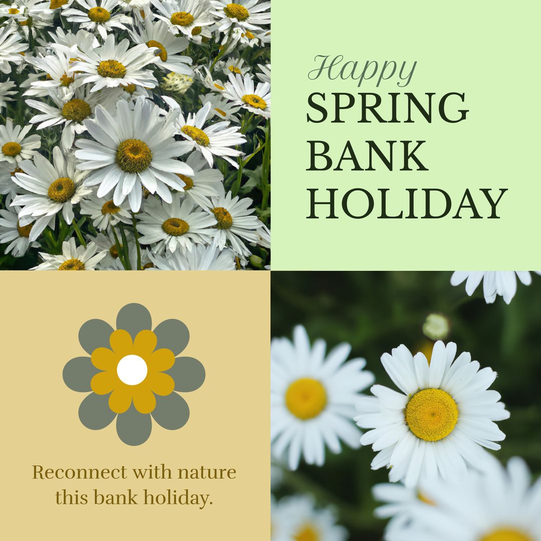 Spring Bank Holiday with Blooming Daisies