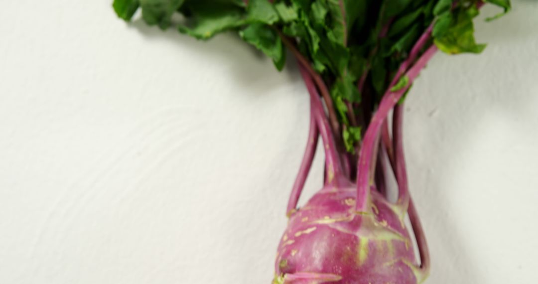 Fresh Purple Kohlrabi with Leaves Against White Background - Free Images, Stock Photos and Pictures on Pikwizard.com