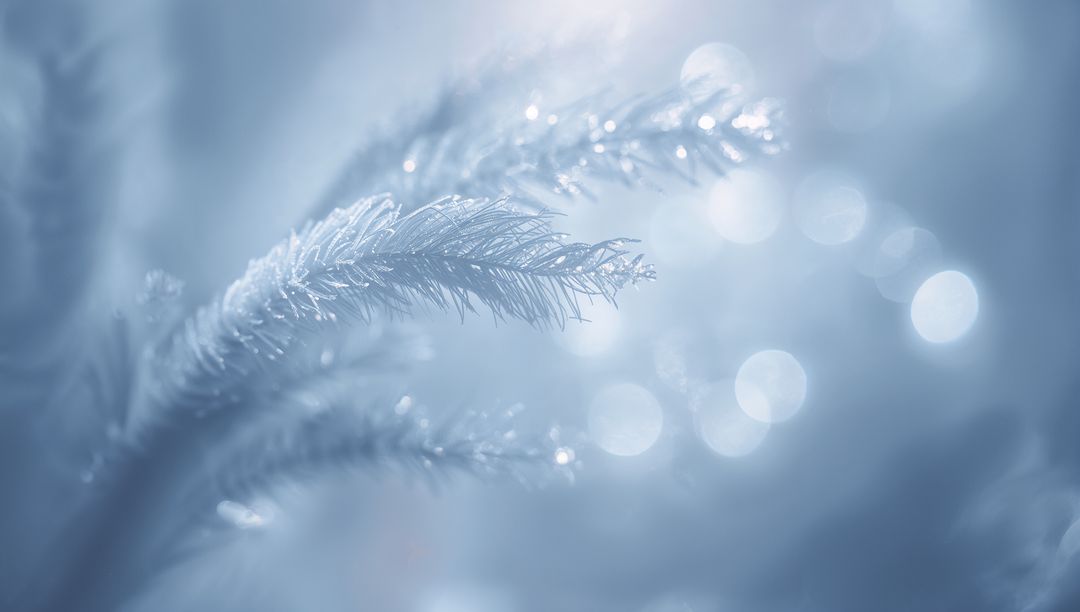 Shimmering Frost-Covered Conifer Needles with Delicate Ice Crystals and Blue Bokeh