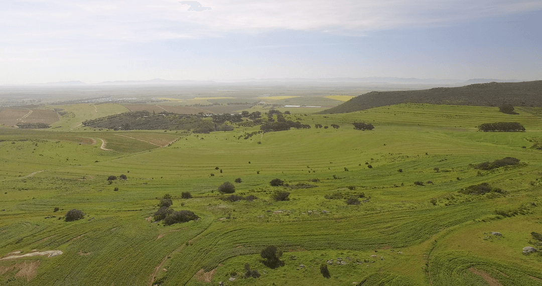 Transparent Sky Over Rolling Green Fields Landscape