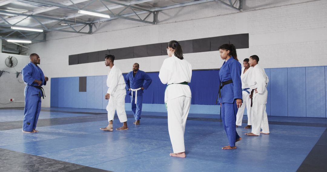 Martial Arts Class Training in Gym with Diverse Practitioners in Gis