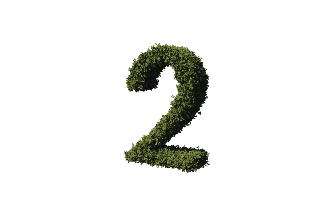 Green Leafy Number 2 Transparent Background