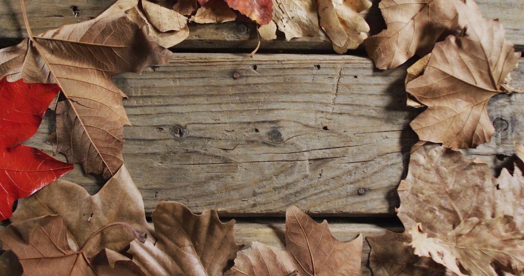 Autumn Leaves Arranged on Wooden Table Background - Free Images, Stock Photos and Pictures on Pikwizard.com