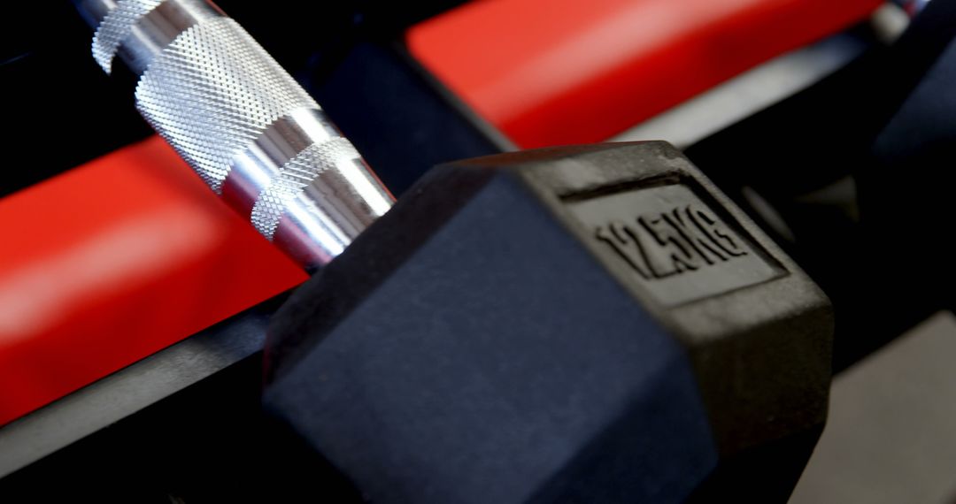 Close-up of Dumbbells on Rack in Gym