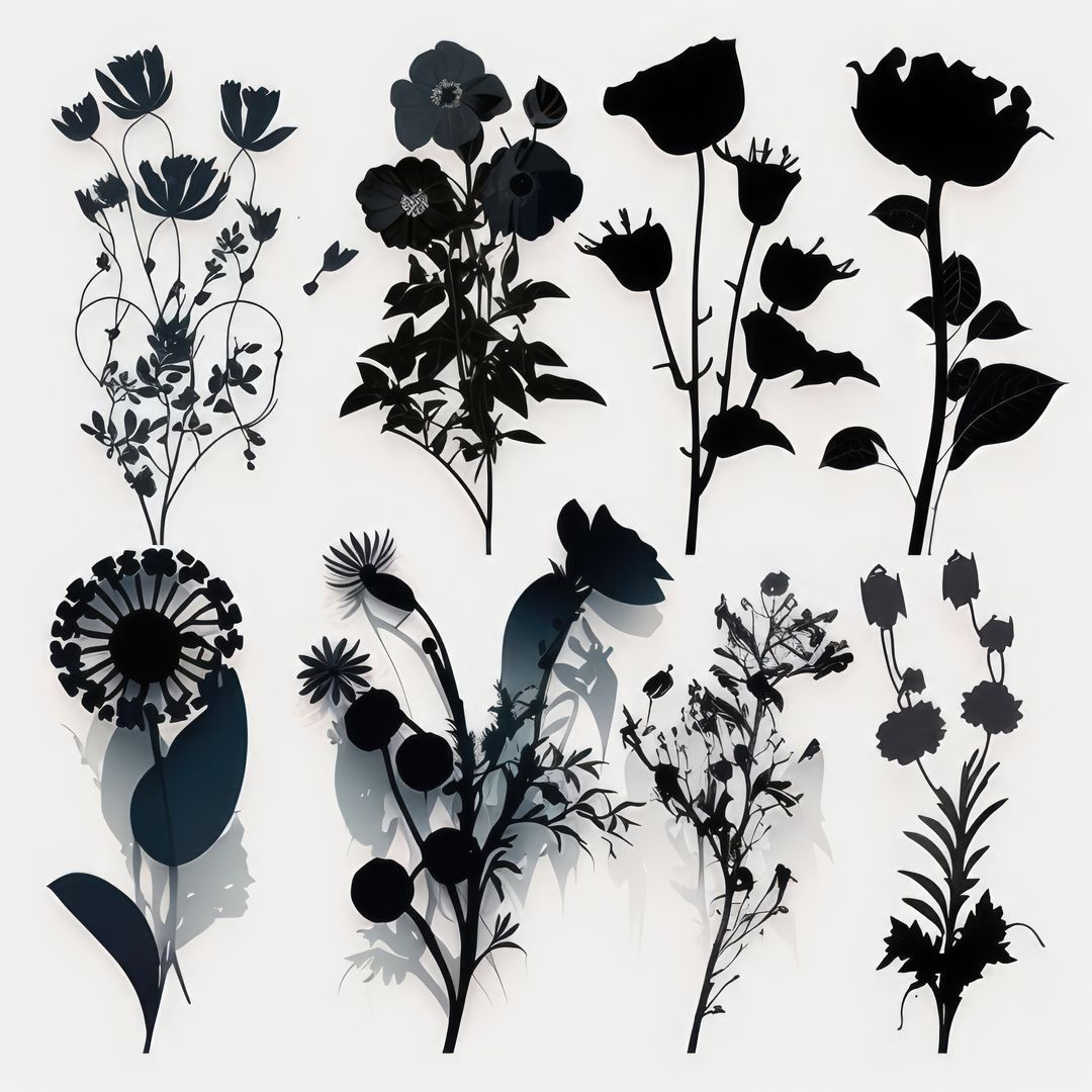 Close up of black flower silhouettes on white background, created using generative ai technology - Free Images, Stock Photos and Pictures on Pikwizard.com