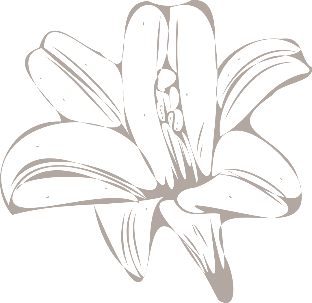 Minimalist Monochrome Flower Outline on Transparent Background
