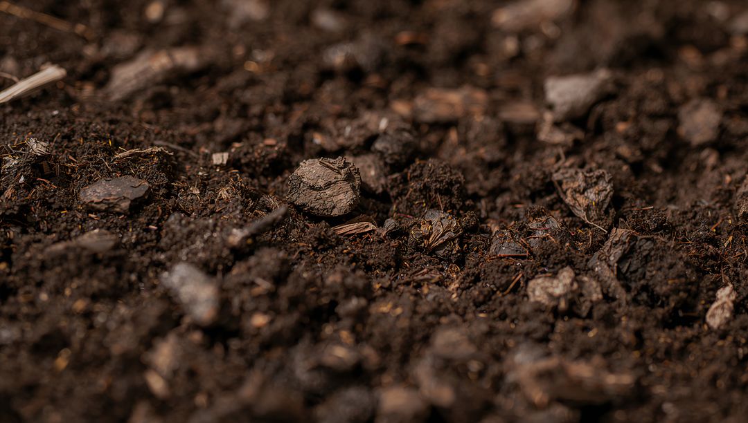 Rich Potting Soil Macro Showing Organic Bark Chips and Dark Granular Texture for Gardening