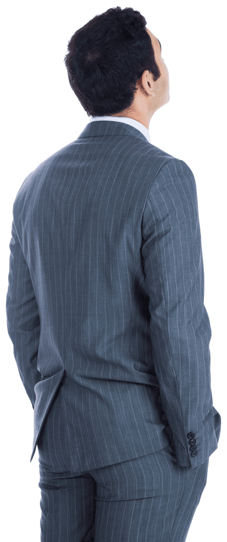 Rear View Biracial Businessman Looking Up Transparent Background