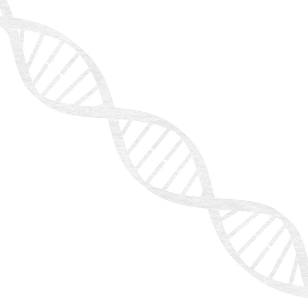 Transparent DNA Helix Illustration on Clear Background
