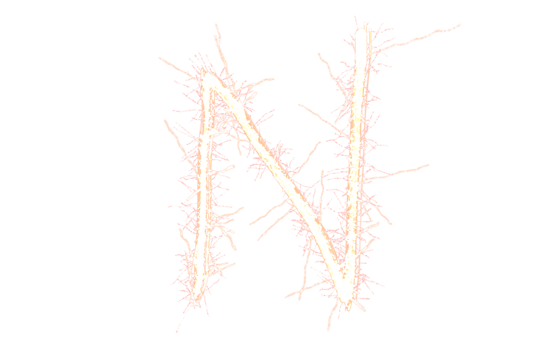 Digital Sparkling N Letter on Transparent Background