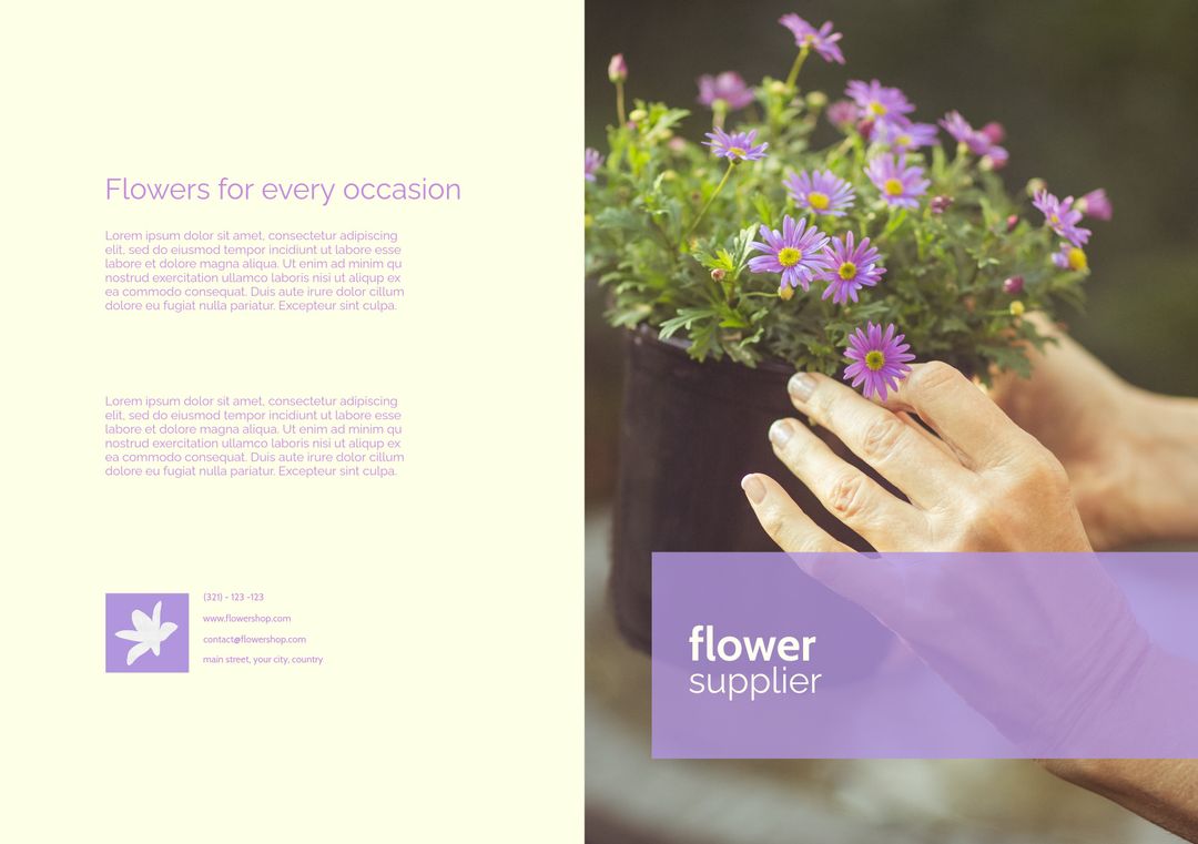 Florist Promotion with Hands Gently Holding Purple Flowers