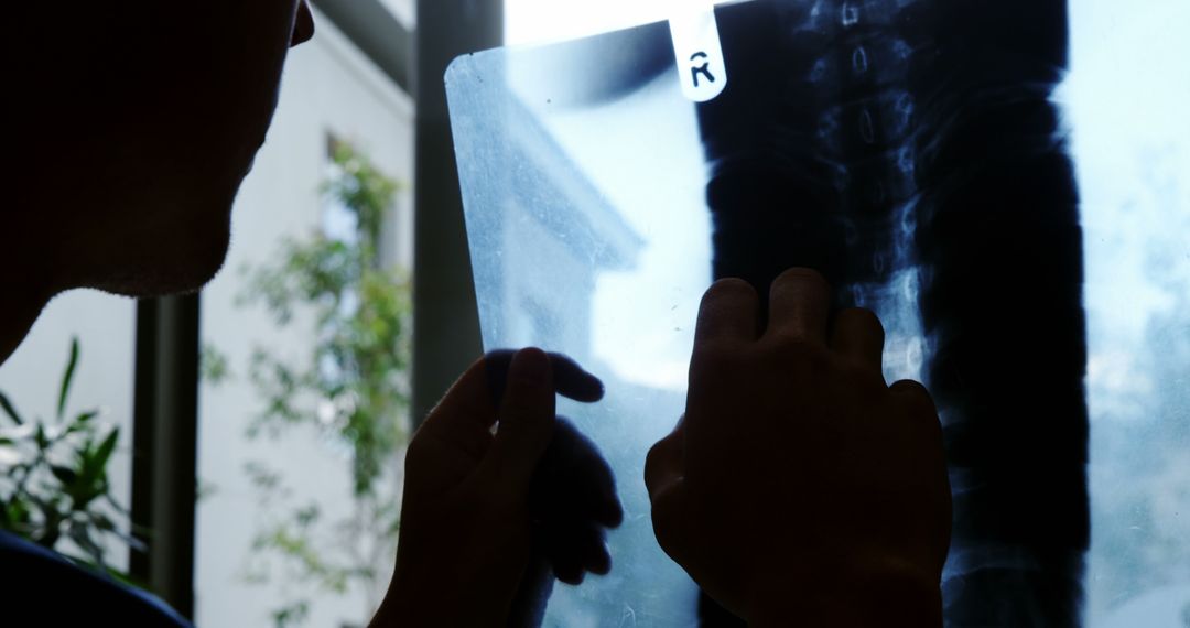 Doctor Reviewing X-Ray Indoors by Window - Free Images, Stock Photos and Pictures on Pikwizard.com