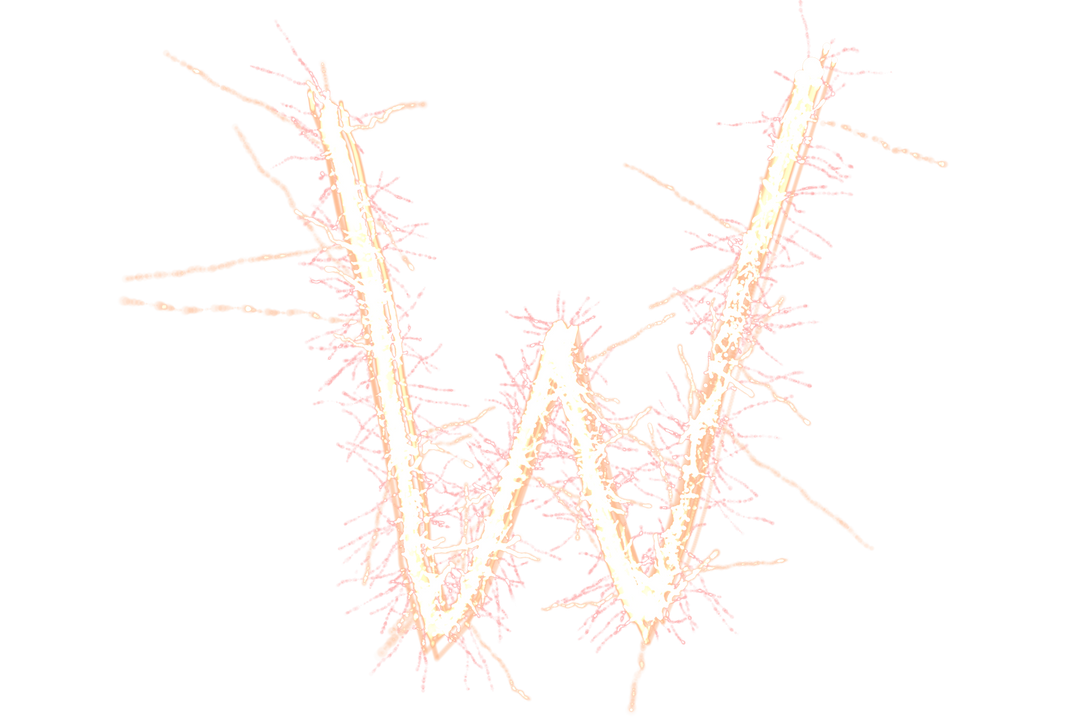 Transparent Sparkler Letter W Vector on Black Background - Download Free Stock Images Pikwizard.com