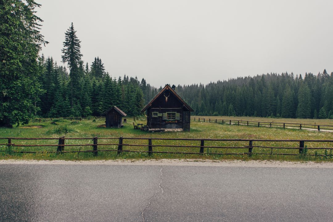 Rustic Log Cabin on Rainy Day in the Forest