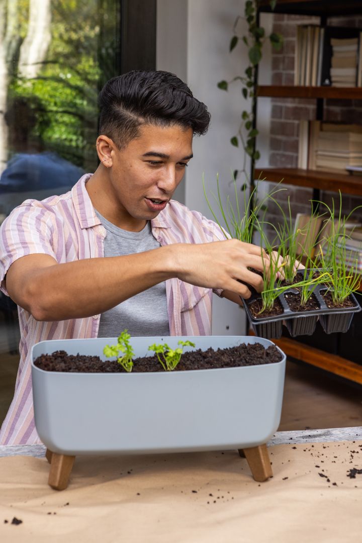 Man Potting Seedlings Into Indoor Planter for Home Gardening
