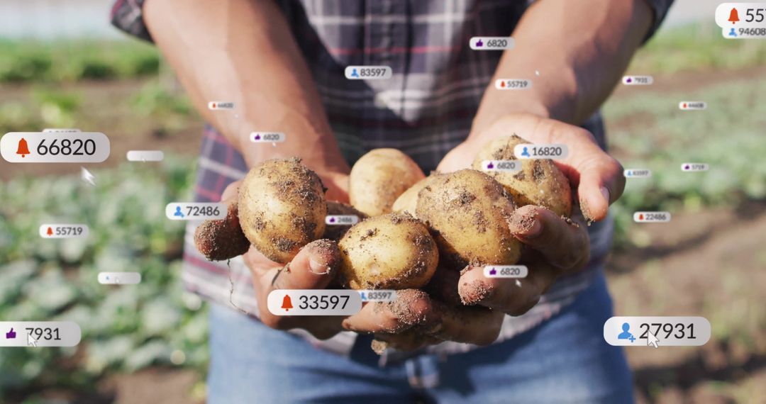Farmer Displaying Harvested Potatoes amidst Digital Social Metrics