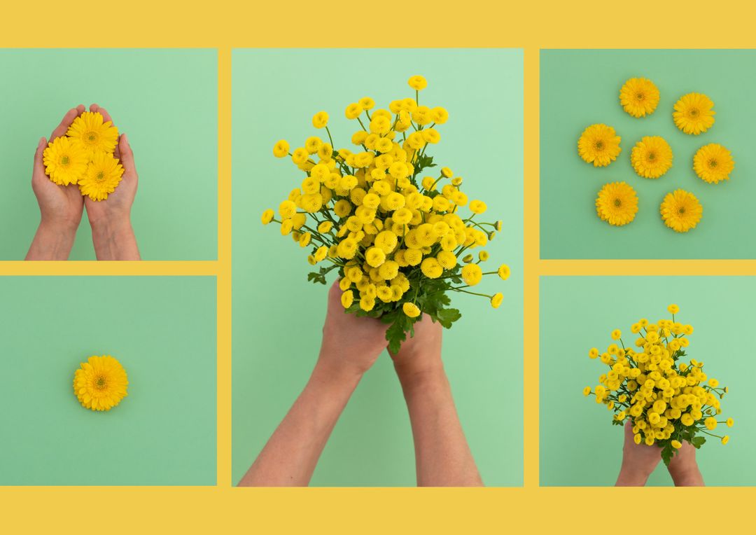 Vibrant Yellow Flowers Against Green Background in Creative Layout - Download Free Stock Templates Pikwizard.com