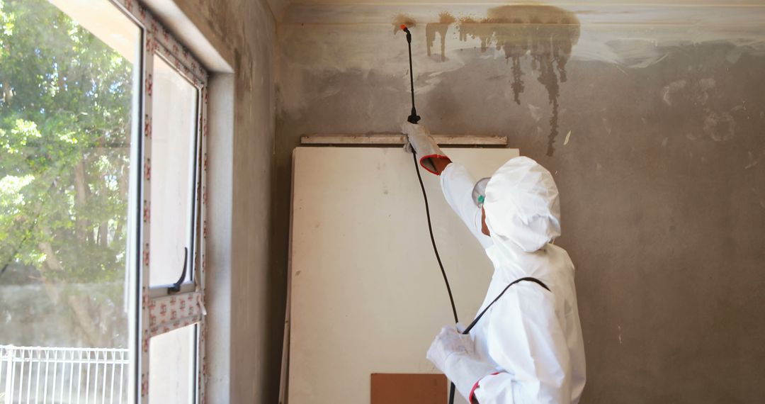 Professional Exterminator Treating Mold Infestation in Residential Room - Free Images, Stock Photos and Pictures on Pikwizard.com