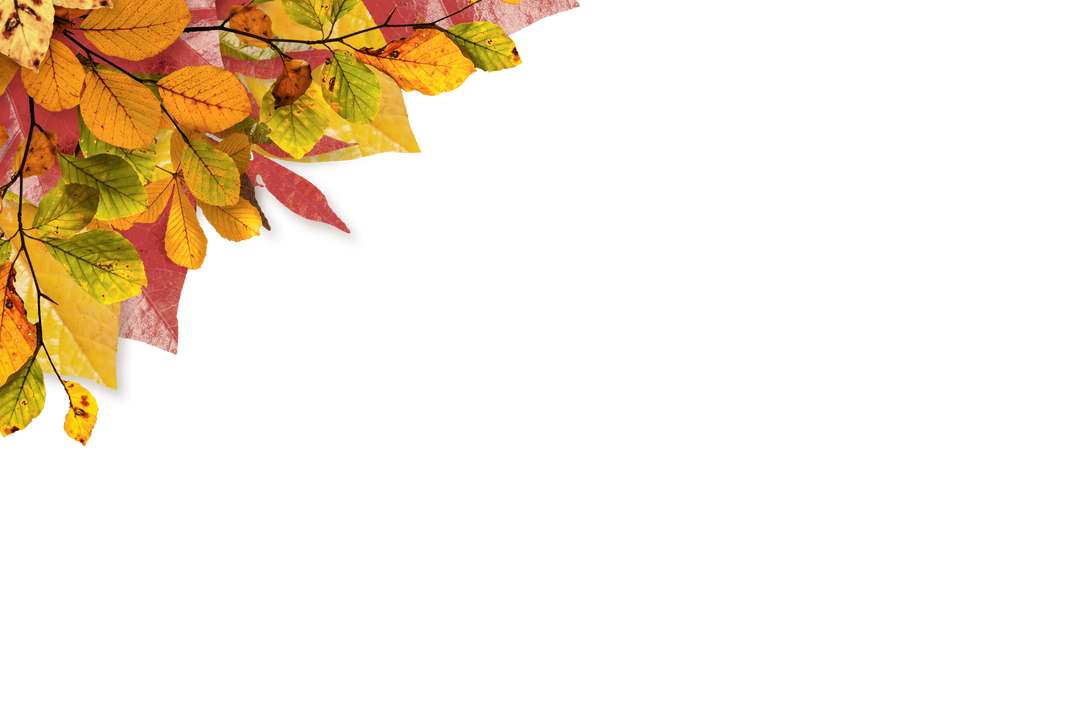 Transparent Autumn Leaves Illustration with Diverse Vivid Foliage Patterns - Download Free Stock Images Pikwizard.com