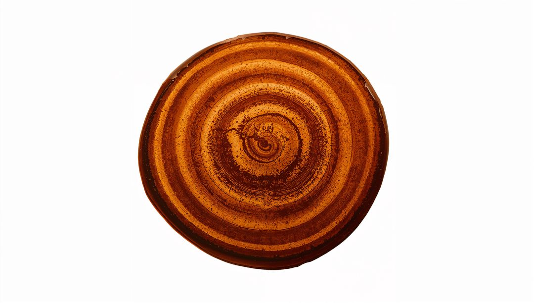 Amber Ceramic Disc Featuring Concentric Banded Rings Minimalist Radial Texture