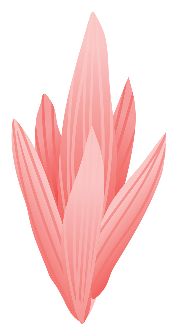 Digital PNG Illustration of Pink Flowers on Transparent Background - Download Free Stock Images Pikwizard.com