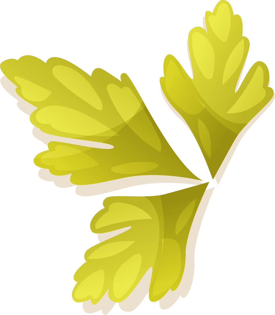 Transparent Botanical Leaf Cluster Illustration on Transparent Canvas