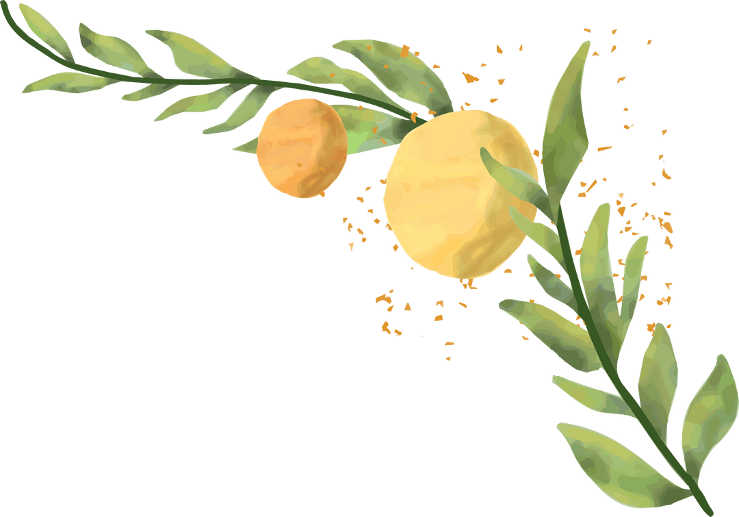 Transparent Watercolor Citrus Branch with Fruits on Light Background