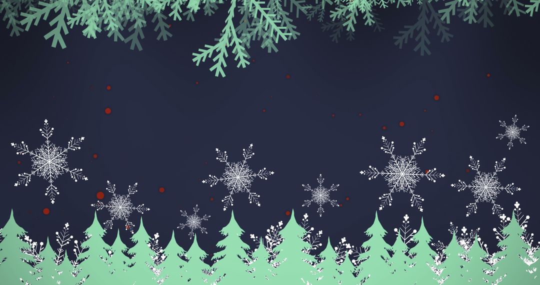Fir Tree Branches with Snowflakes on Night Sky