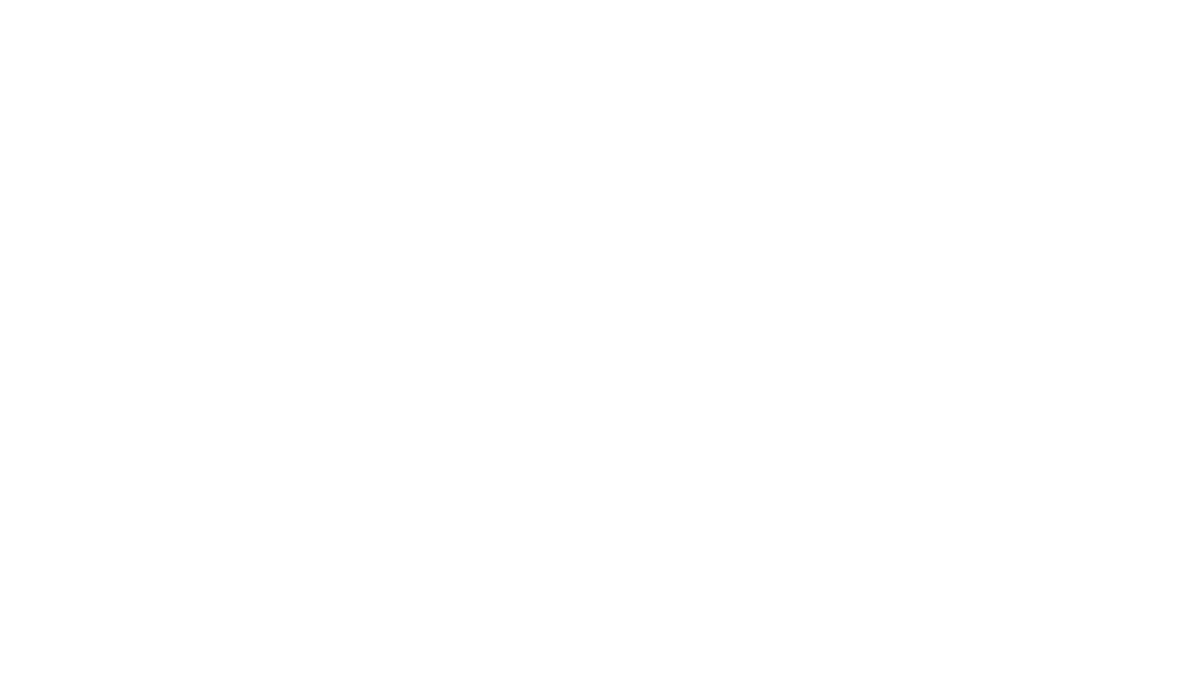 Transparent Geometric Network Connections Vector