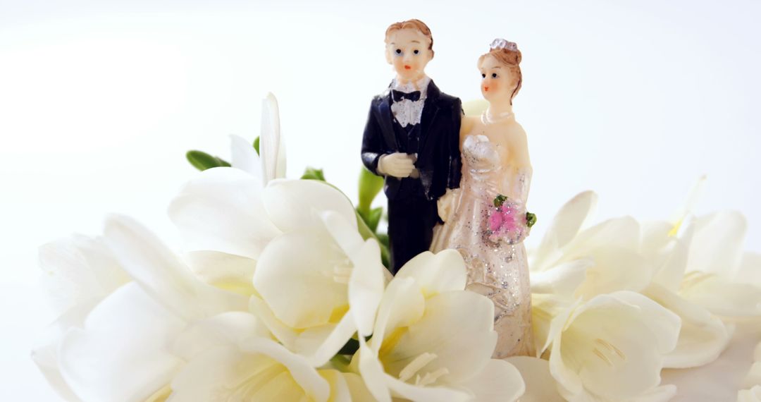 Bride and Groom Figurine with White Flowers Background - Free Images, Stock Photos and Pictures on Pikwizard.com