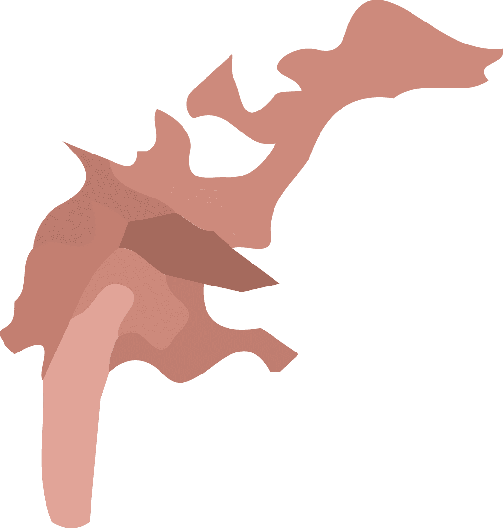 Abstract Flowing Shape with Earthy Tones on Transparent Background