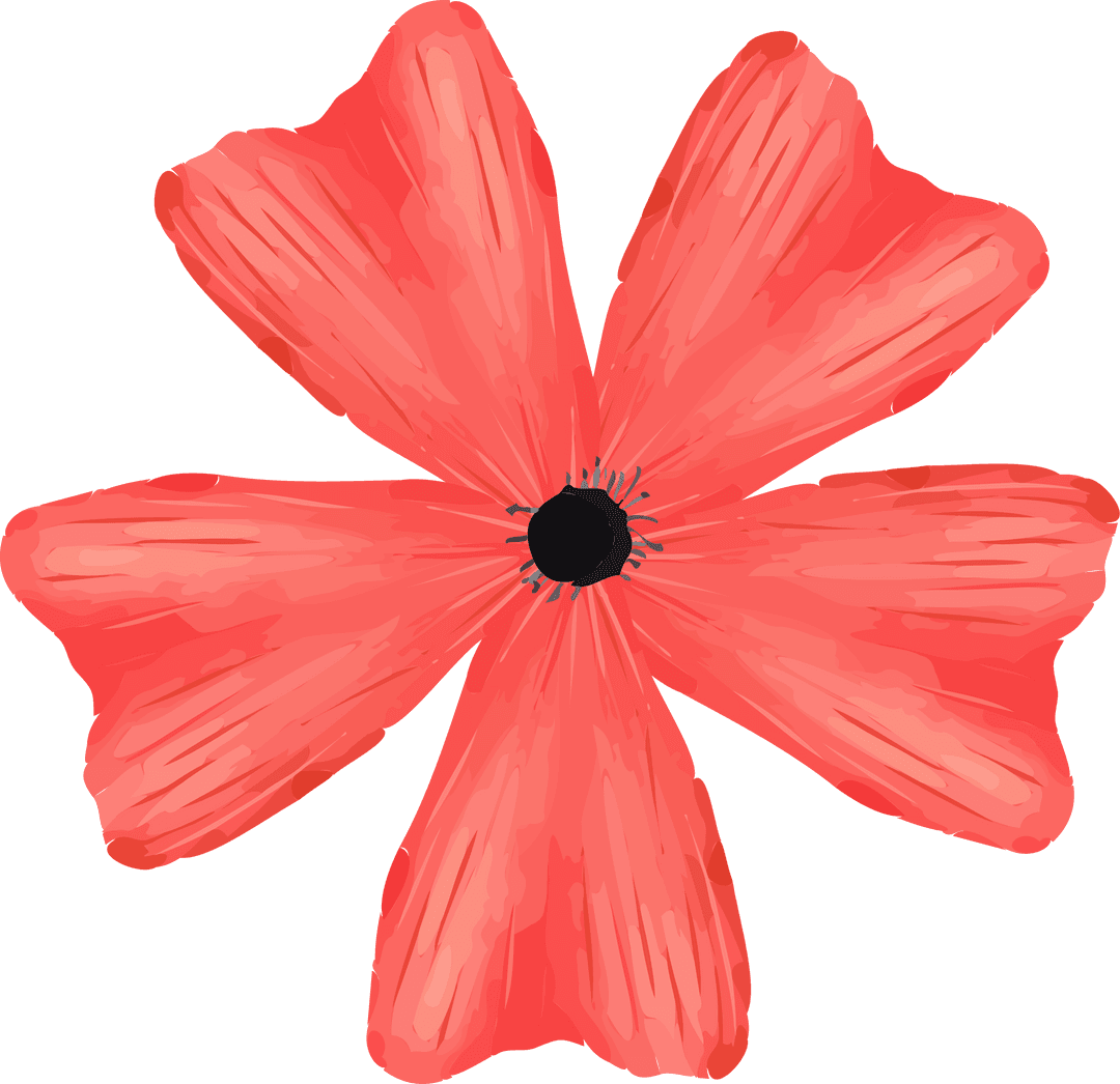 Stylized Red Poppy Bloom Illustration on Transparent Background