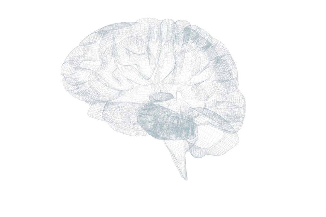 3D Transparent Blue Wireframe Human Brain Illustration