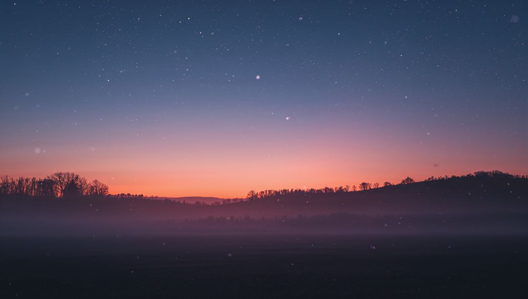 Dawn Gradient Filling Rural Horizon with Misty Meadow, Silhouetted Tree Line and Starry Twilight